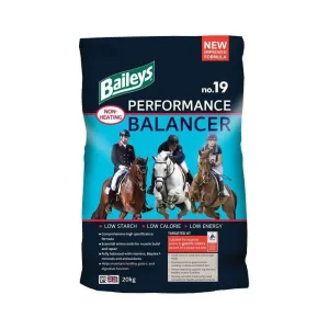 Baileys No.19 Performance Balancer 20kg