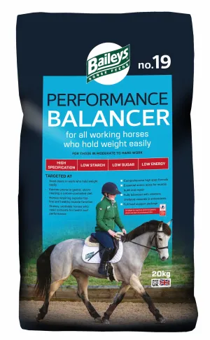 Baileys No.19 Performance Balancer 20Kg