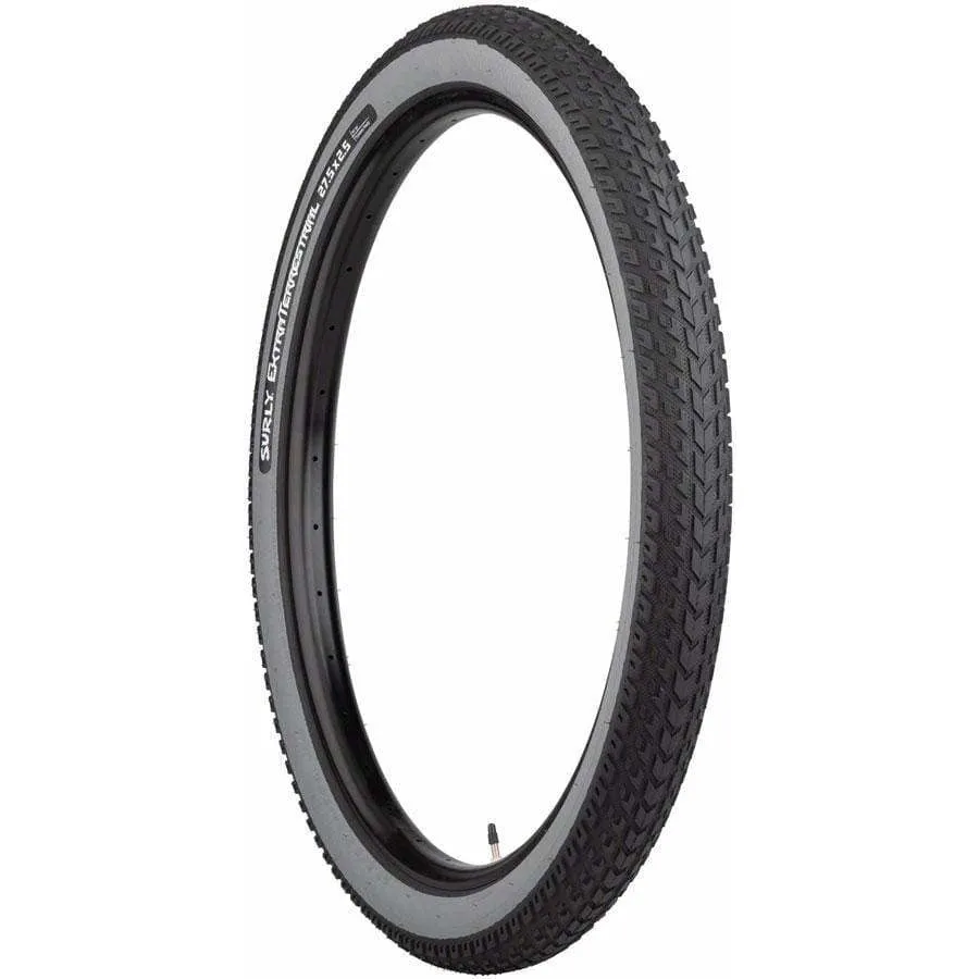ExtraTerrestrial Tire - 29 x 2.5, Tubeless, Folding/Slate, 60tpi