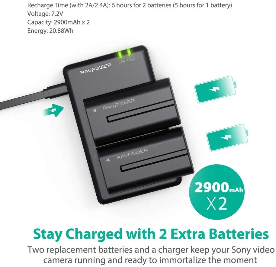 NP-F550 Battery Charger for Sony