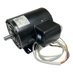Ranger 5327099 OEM 2HP Electric Motor, Dual Power 110/220V