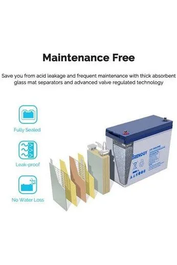 Renogy 12V 100Ah Deep Cycle Hybrid GEL Battery with Battery Box